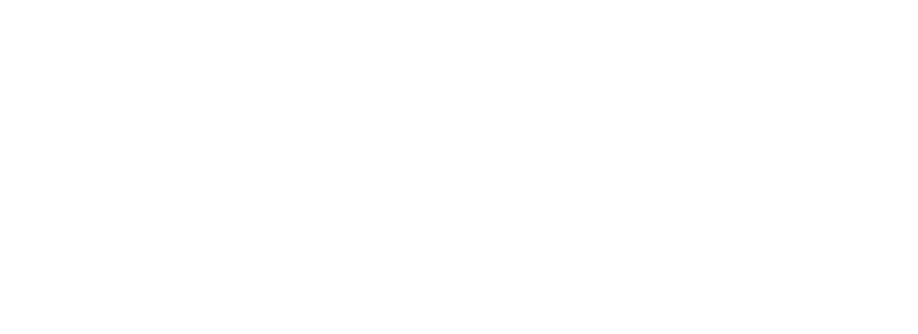 novum nano logo white text