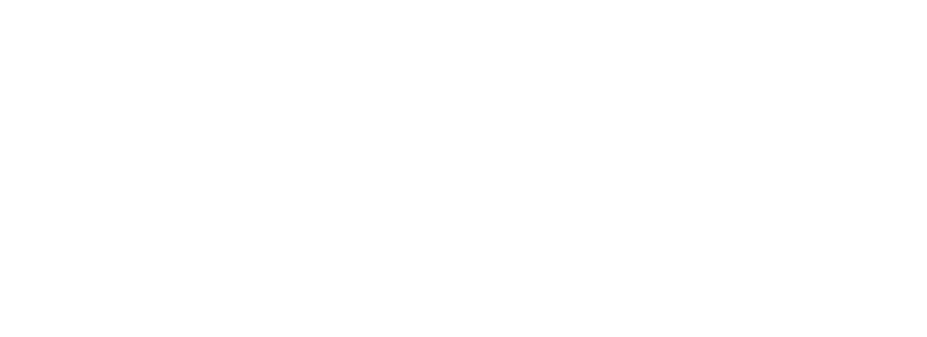 novum nano logo white text