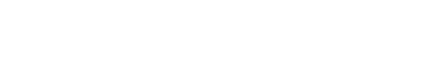 Novum Nano Logo White