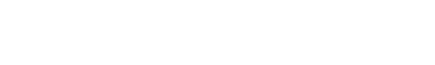 Novum Nano Logo White